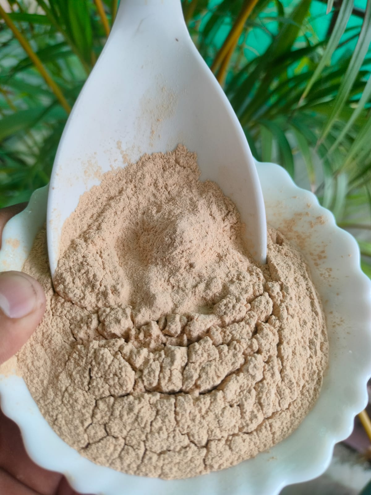 ashwagandha powder ashwagandha powder
