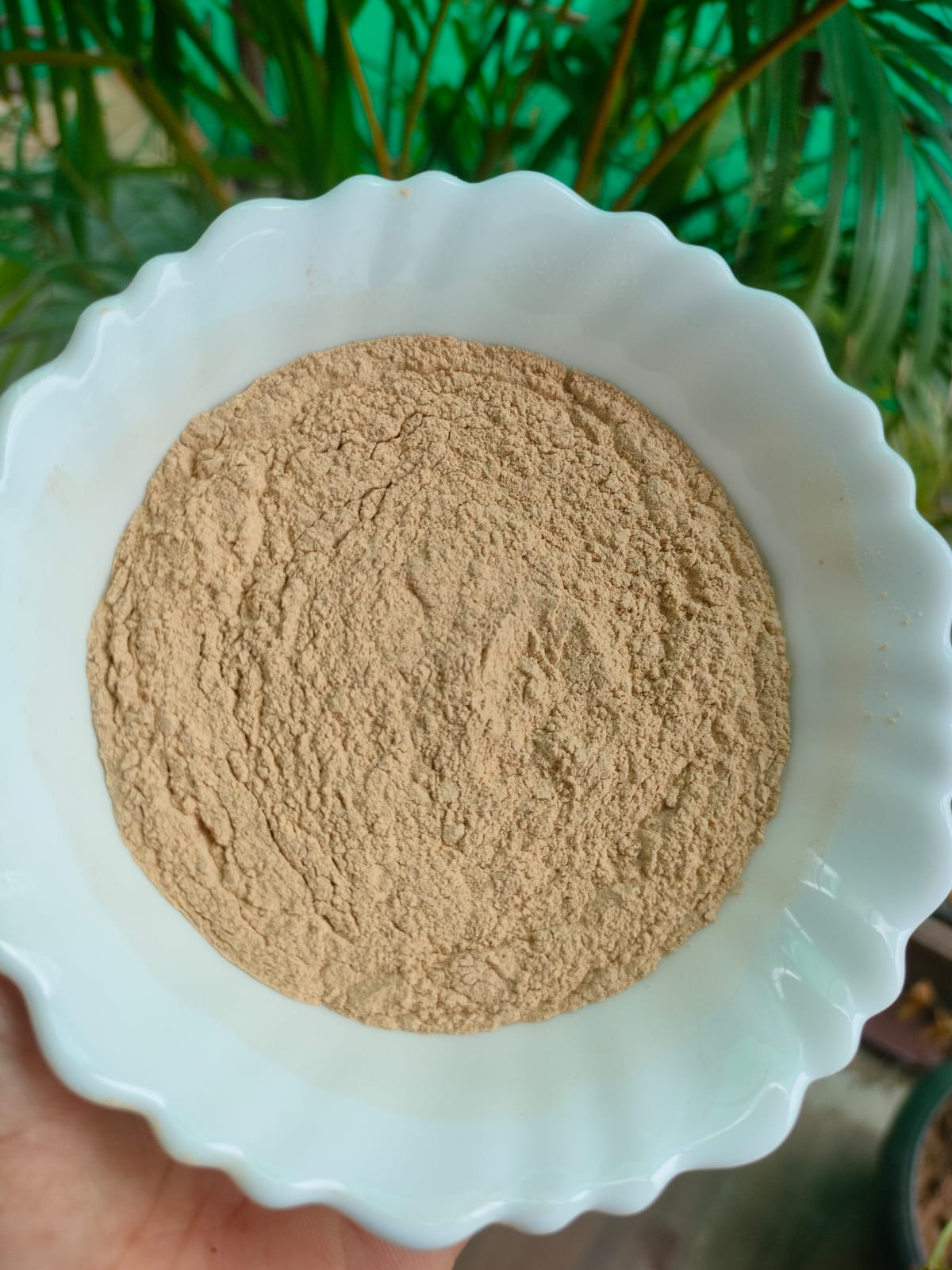 ashwagandha powder ashwagandha powder